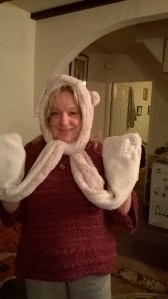 WP_20150111_16_44_17_Pro