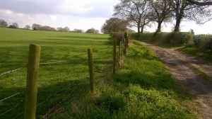 WP_20150419_16_02_02_Pro