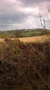 WP_20150419_16_19_05_Pro