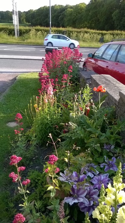 Front border
