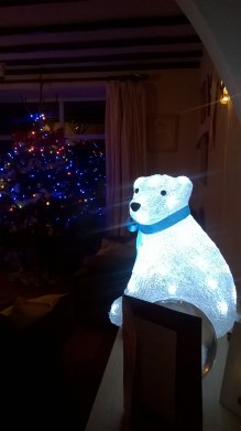 Polar bear