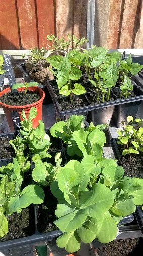 WP_20170507_12_00_38_Pro